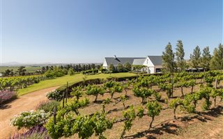 Farm in Stellenbosch Agricultural