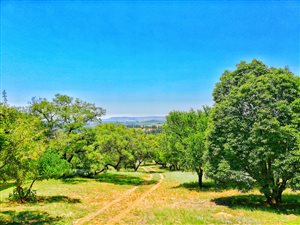 8.1 ha Farm in Sterkfontein and surrounds