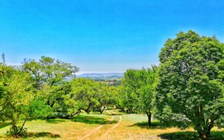 8.1 ha Farm in Sterkfontein and surrounds