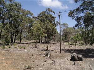 2 ha Land available in Greenbushes