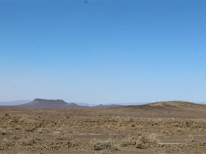 85 ha Farm in Ceres