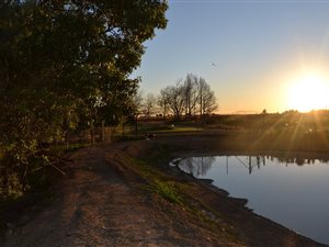 62 ha Farm in Stellenbosch Central
