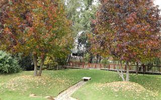 1 Bedroom Apartment in Douglasdale