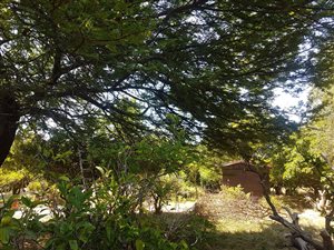 900 m² Land available in Helena Heights