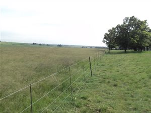 36.8 ha Farm in Hendrina