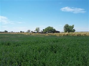Farm in Stella