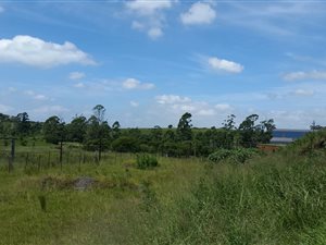 2 ha Land available in Camperdown
