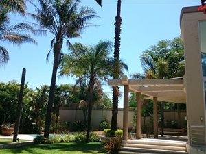1 Bed House in Emmarentia