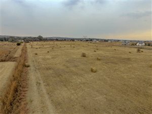 94 ha Farm in Boschkop
