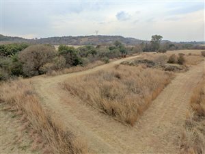 94 ha Farm in Boschkop