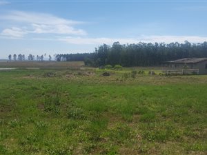 3207 m² Land available in Piet Retief