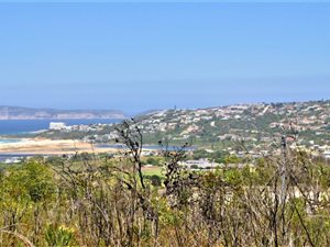 391 ha Land available in Plettenberg Bay Rural