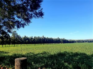 57 ha Farm in Swellendam