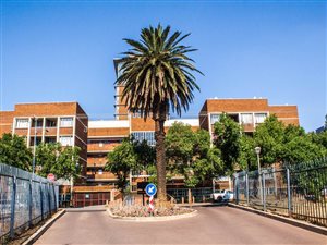 1 Bed Apartment in Mountain View