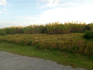 991 m² Land available in Port Alfred