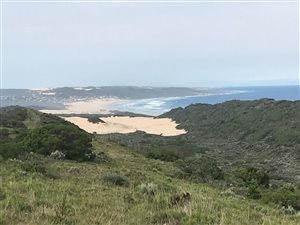26 ha Farm in Oyster Bay