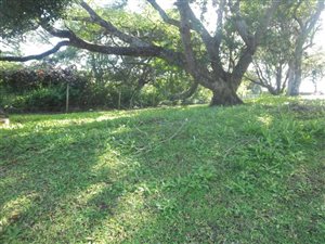 1001 m² Land available in Felixton
