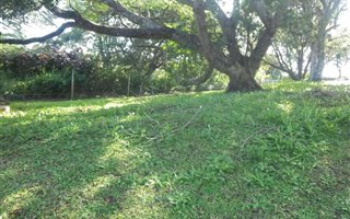 1000 m² Land available in Felixton