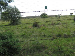 21.4 ha Farm in Honingnestkrans