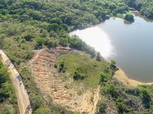 86 ha Farm in White River AH