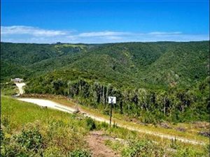 4477 m² Land available in Pezula Private Estate
