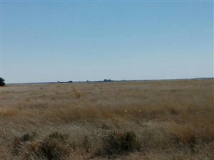 4613 ha Farm in Boshof