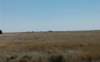 4613 ha Farm in Boshof