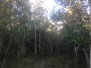 1200 m² Land available in The Crags