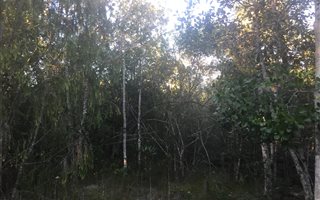 1200 m² Land available in The Crags