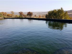 3200 m² Commercial space in Bronkhorstspruit