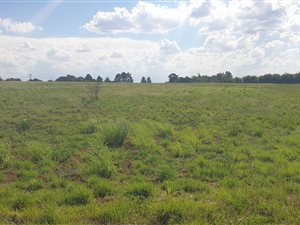 10 ha Land available in Bashewa