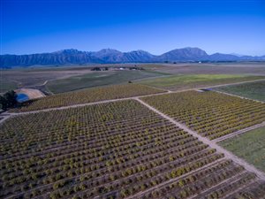 658 ha Farm in Porterville