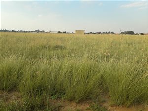 2094 m² Land available in Jameson Park