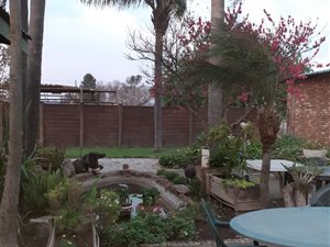 8.5 ha Farm in Onderstepoort
