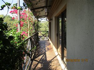 1 Bed Apartment in Kameeldrift East