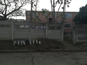 1 Bed Apartment in Redfern