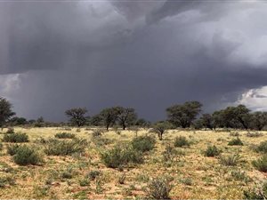 856 ha Farm in Kenhardt