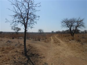 2.2 ha Land available in Myngenoegen AH