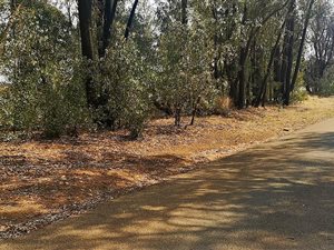 5550 m² Land available in Highbury