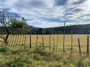 1.6 ha Land available in Stutterheim