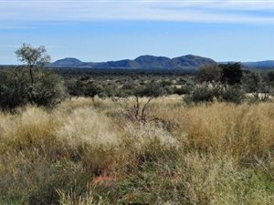3260 ha Farm in Olifantshoek