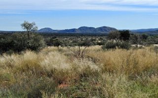 3260 ha Farm in Olifantshoek
