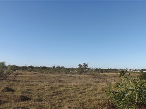 820 m² Land available in Rowallan Park and surrounds