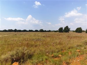 11.6 ha Land available in Grootfontein Estate
