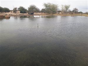 154 ha Farm in Roedtan