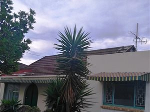 7 Bed House in Sidwell