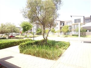 2 Bed Apartment in Dainfern Ridge
