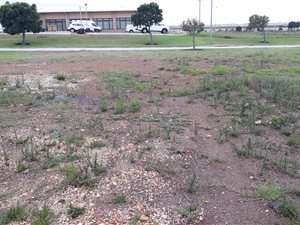 1544 m² Land available in Jeffreys Bay