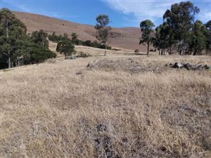 16 ha Land available in Creighton