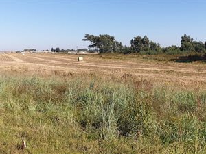 7 ha Land available in Bapsfontein